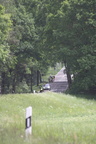 IMG 0142